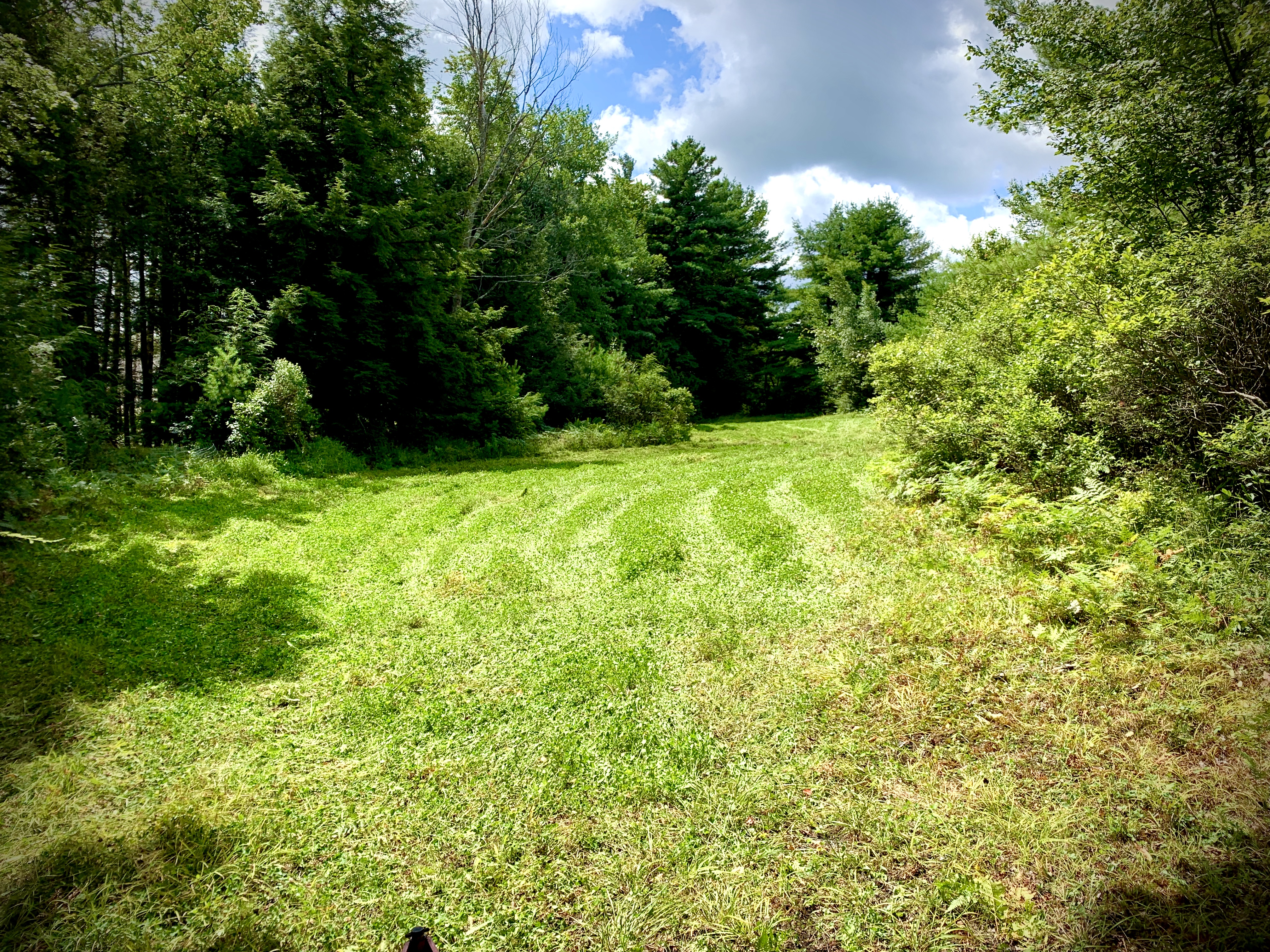 Food Plots